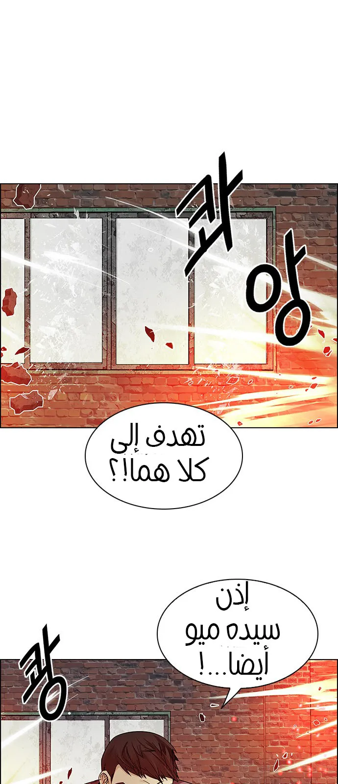 الصفحة 12 من 52
