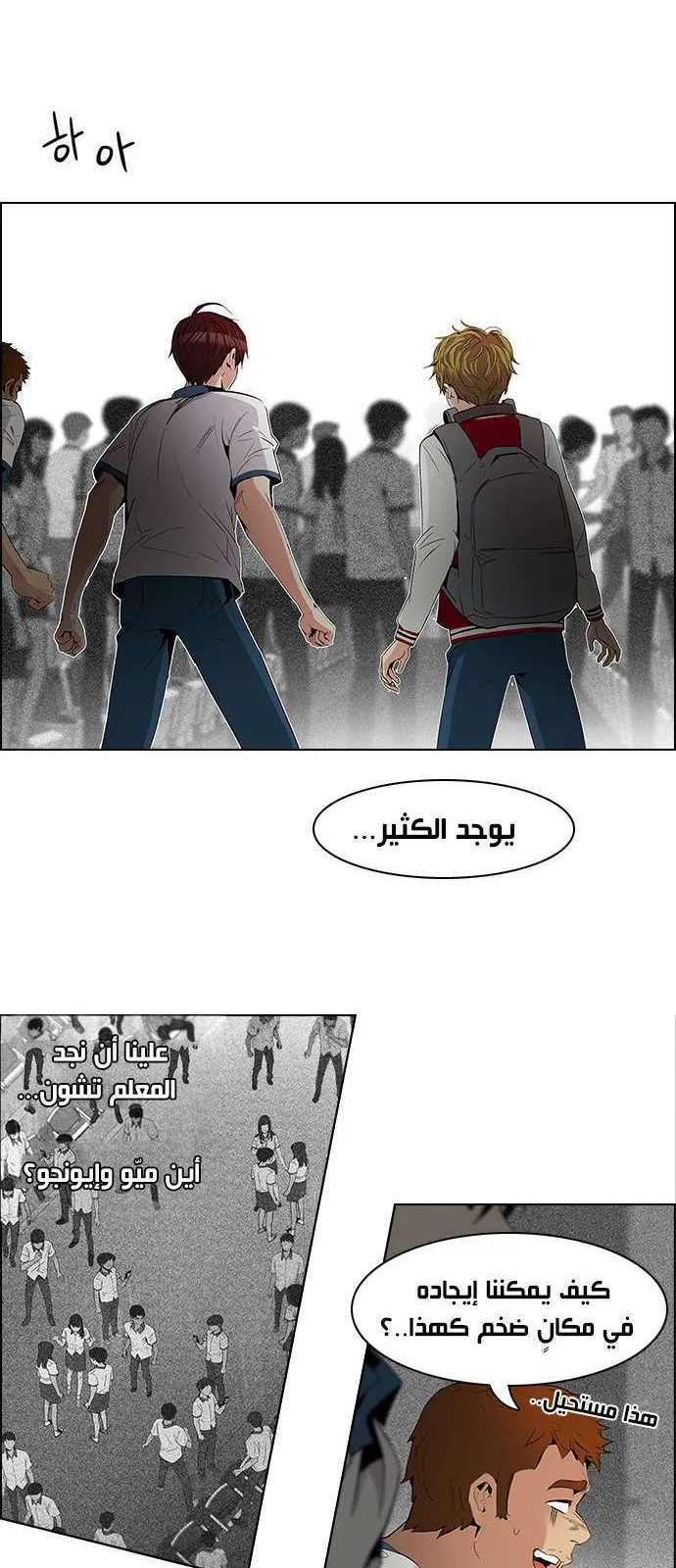 الصفحة 19 من 51