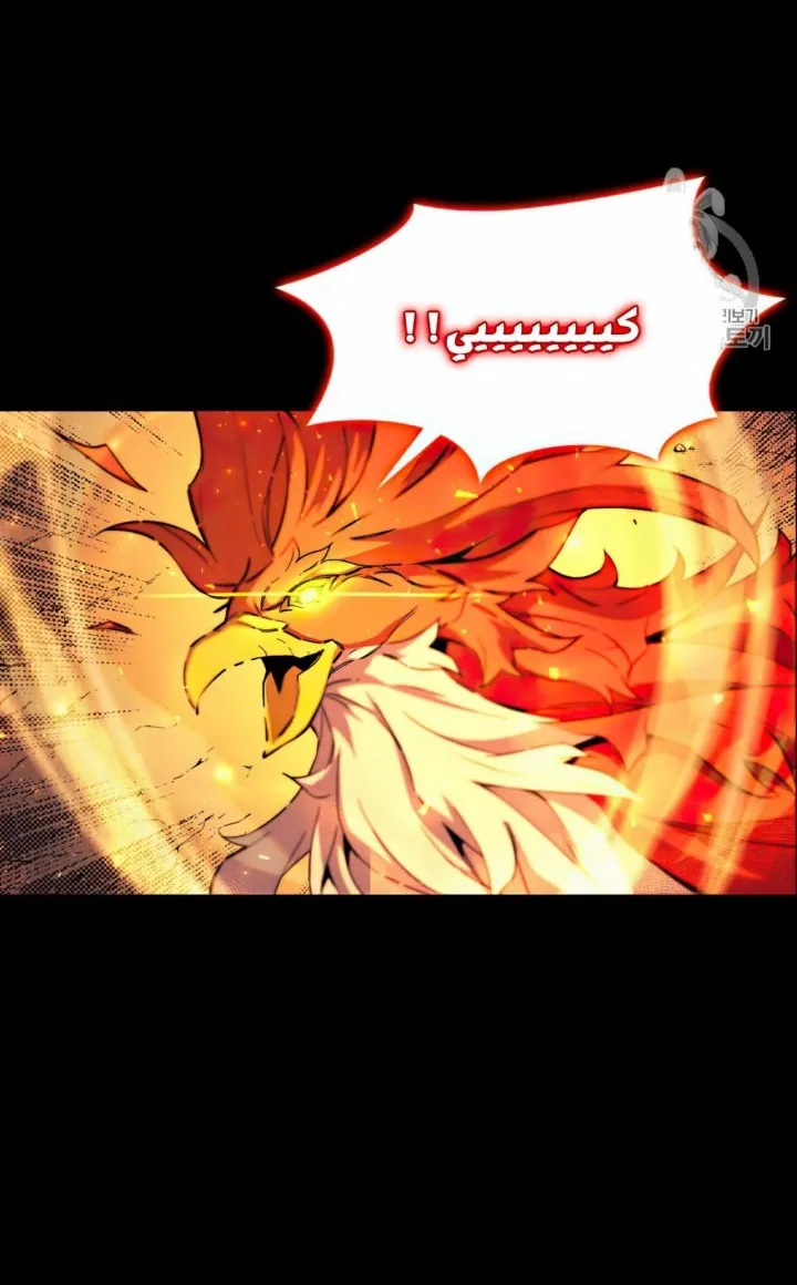 الصفحة 17 من 67