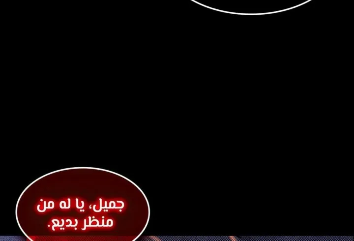 الصفحة 21 من 67