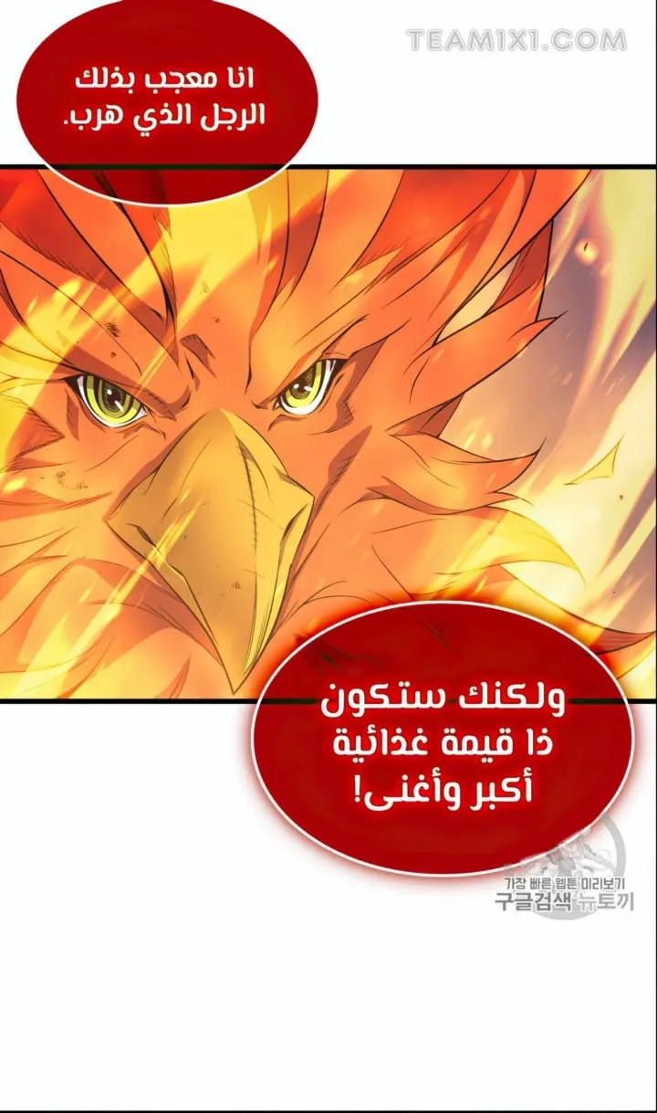 الصفحة 11 من 67