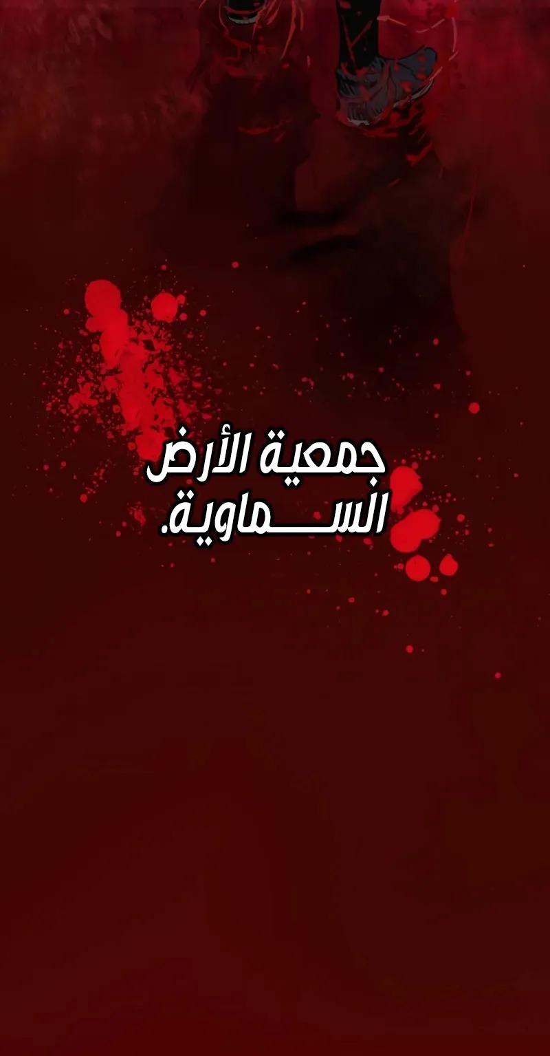 الصفحة 24 من 146