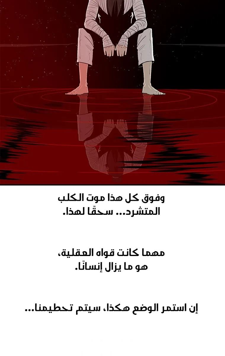 الصفحة 62 من 84