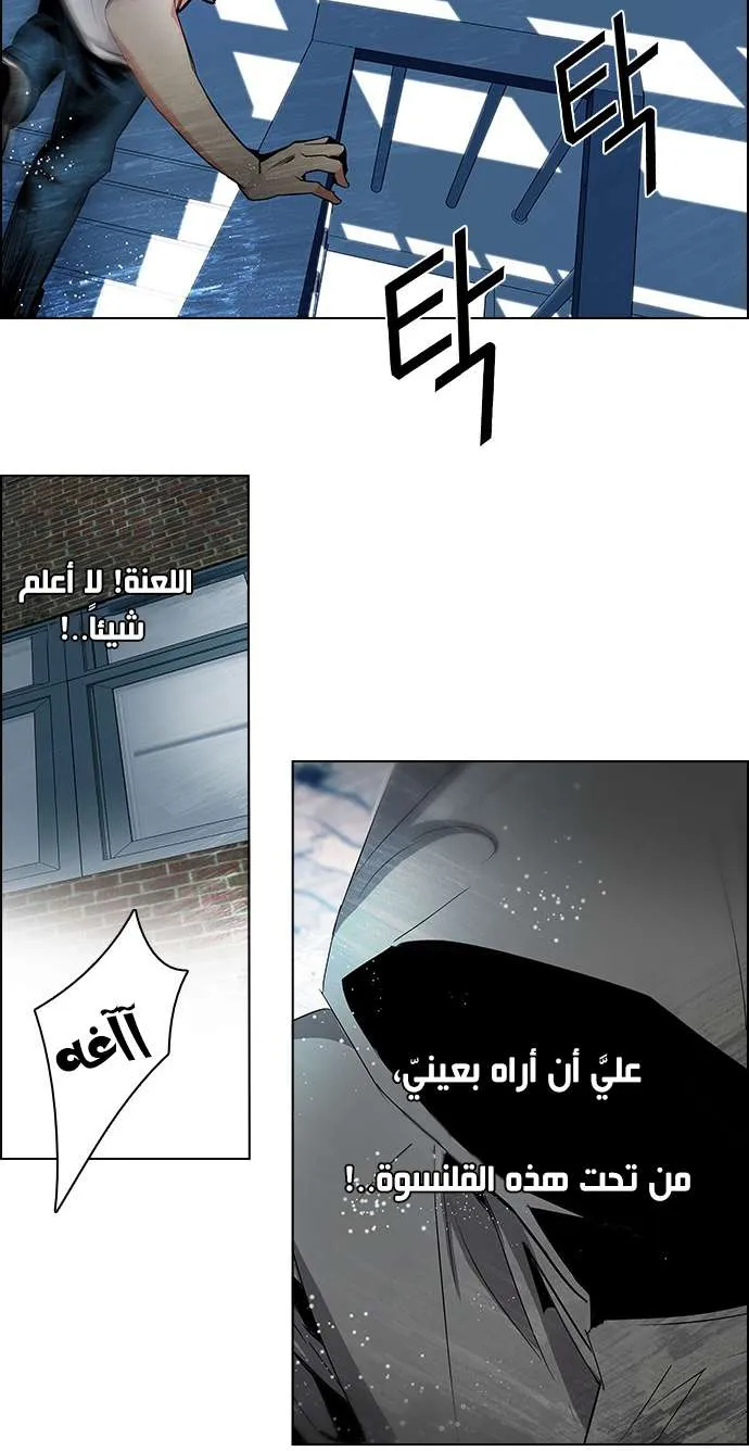 الصفحة 6 من 51