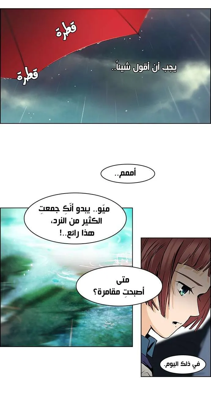 الصفحة 7 من 37