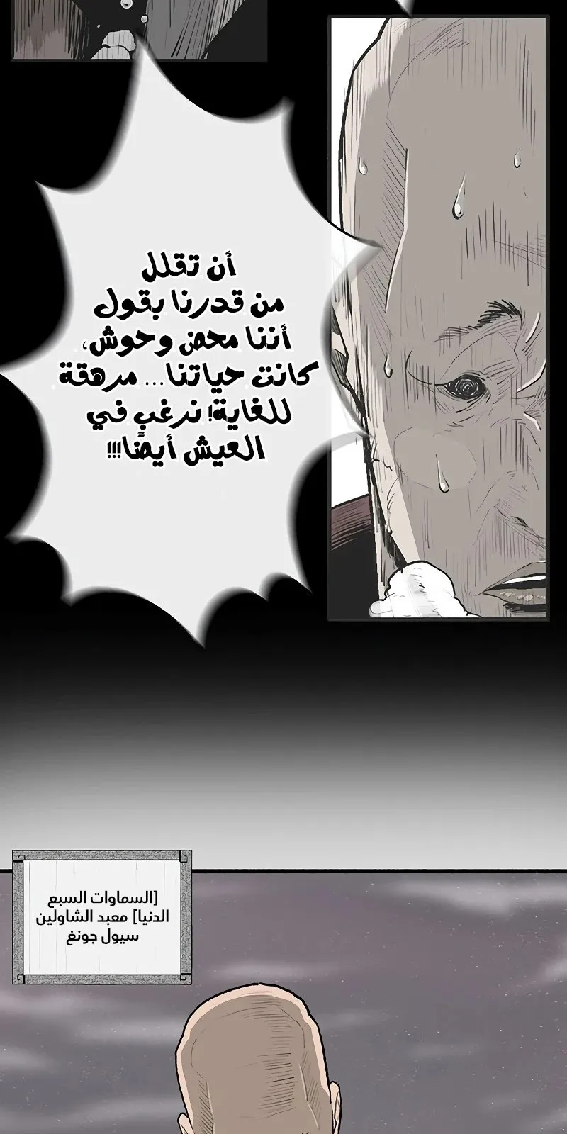الصفحة 13 من 67