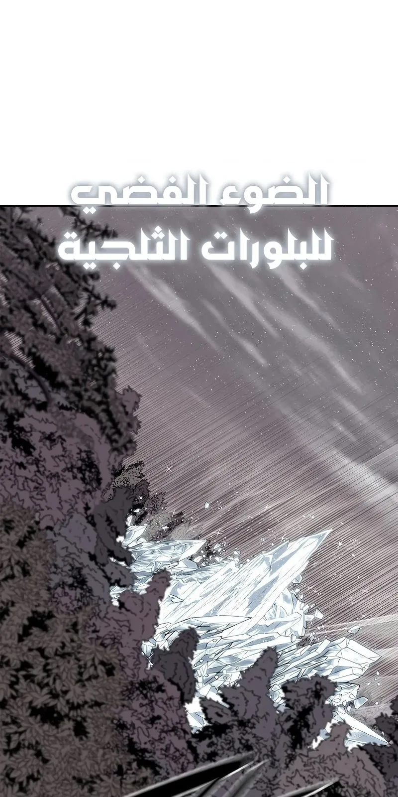 الصفحة 41 من 67