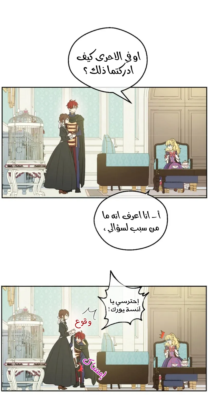 الصفحة 19 من 73