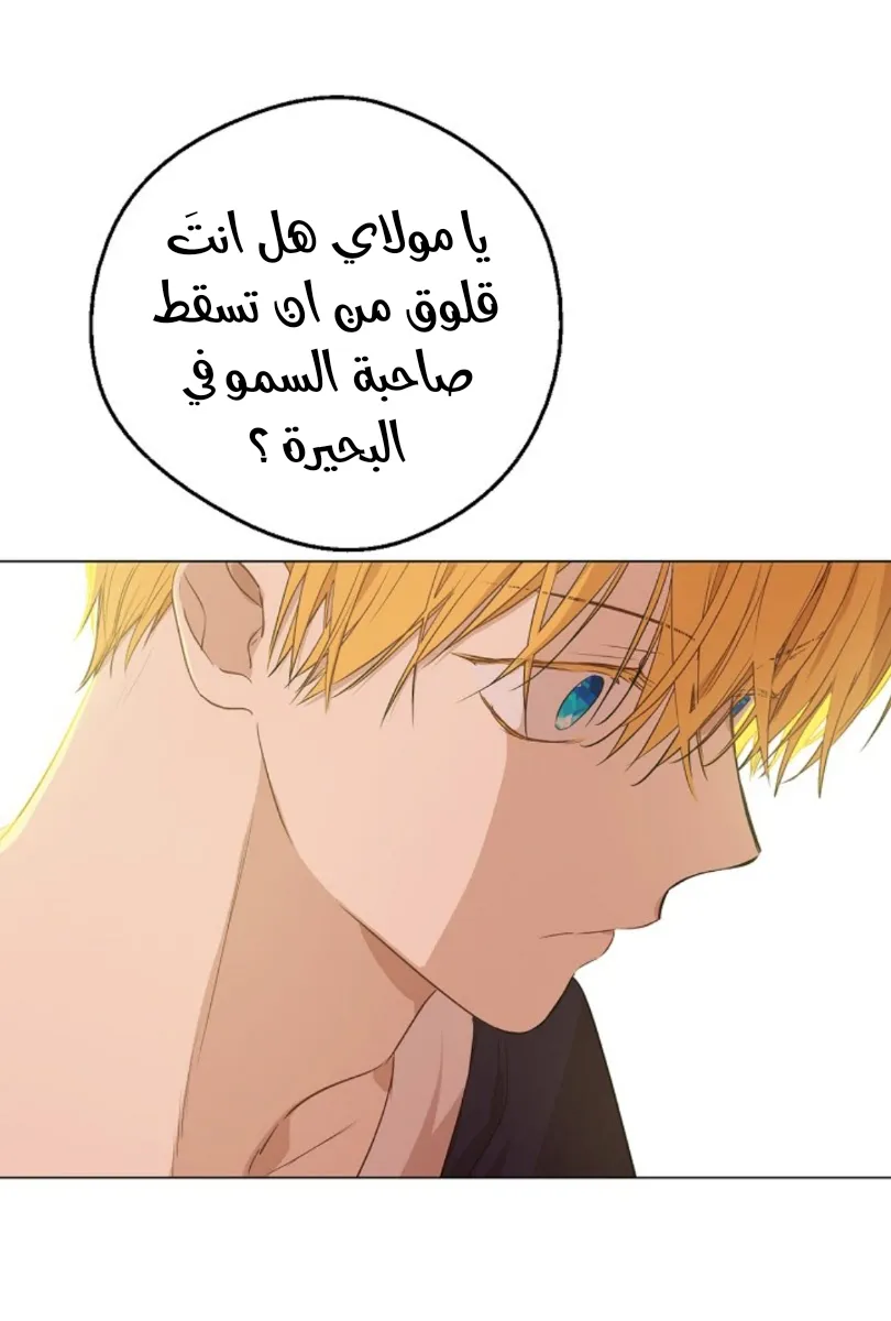 الصفحة 66 من 73
