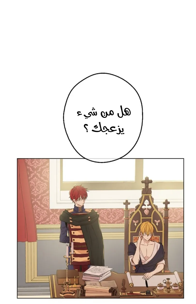 الصفحة 56 من 73