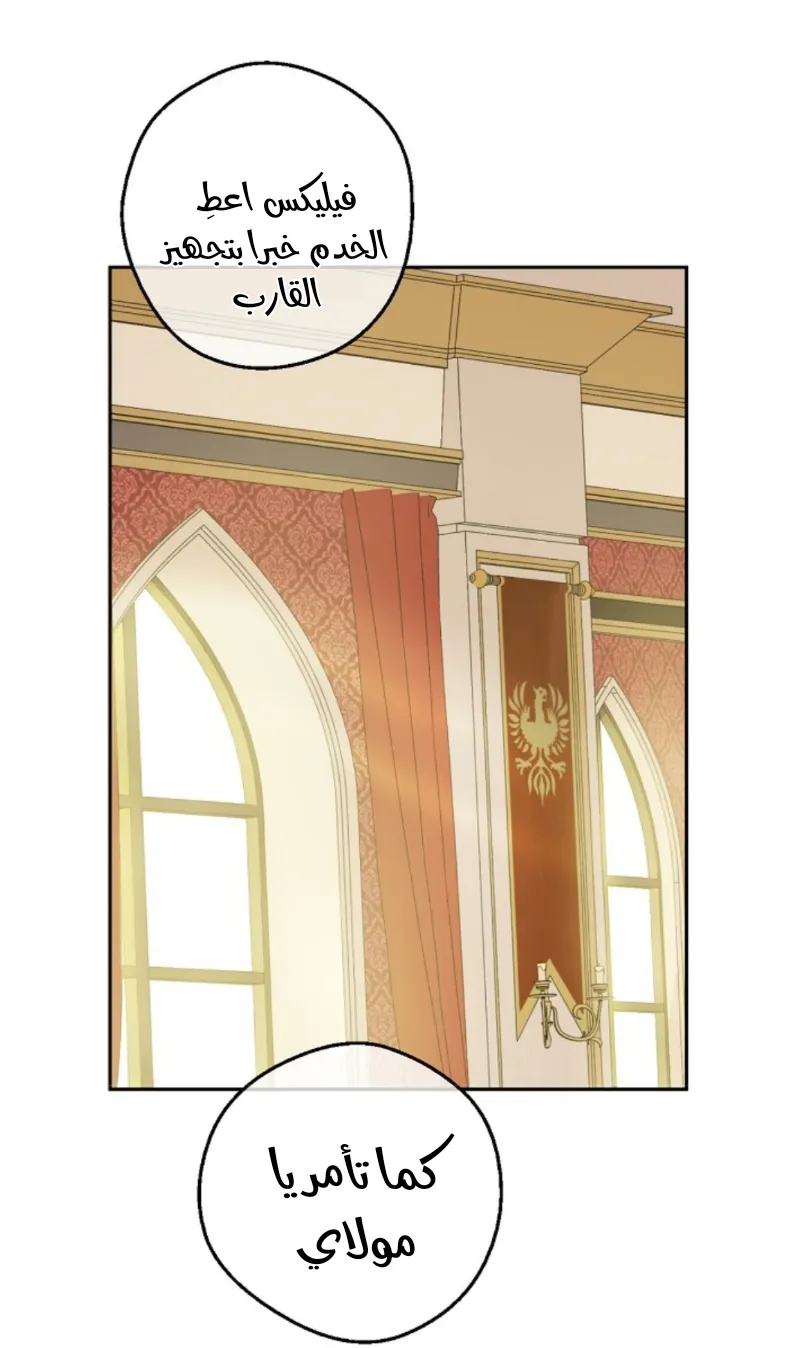 الصفحة 54 من 73