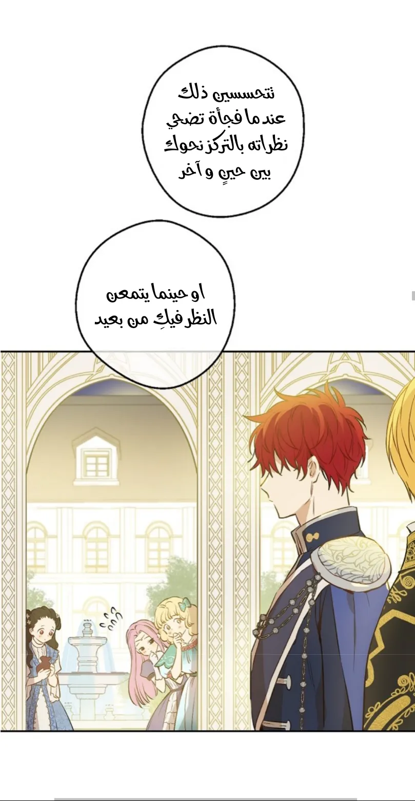 الصفحة 23 من 73