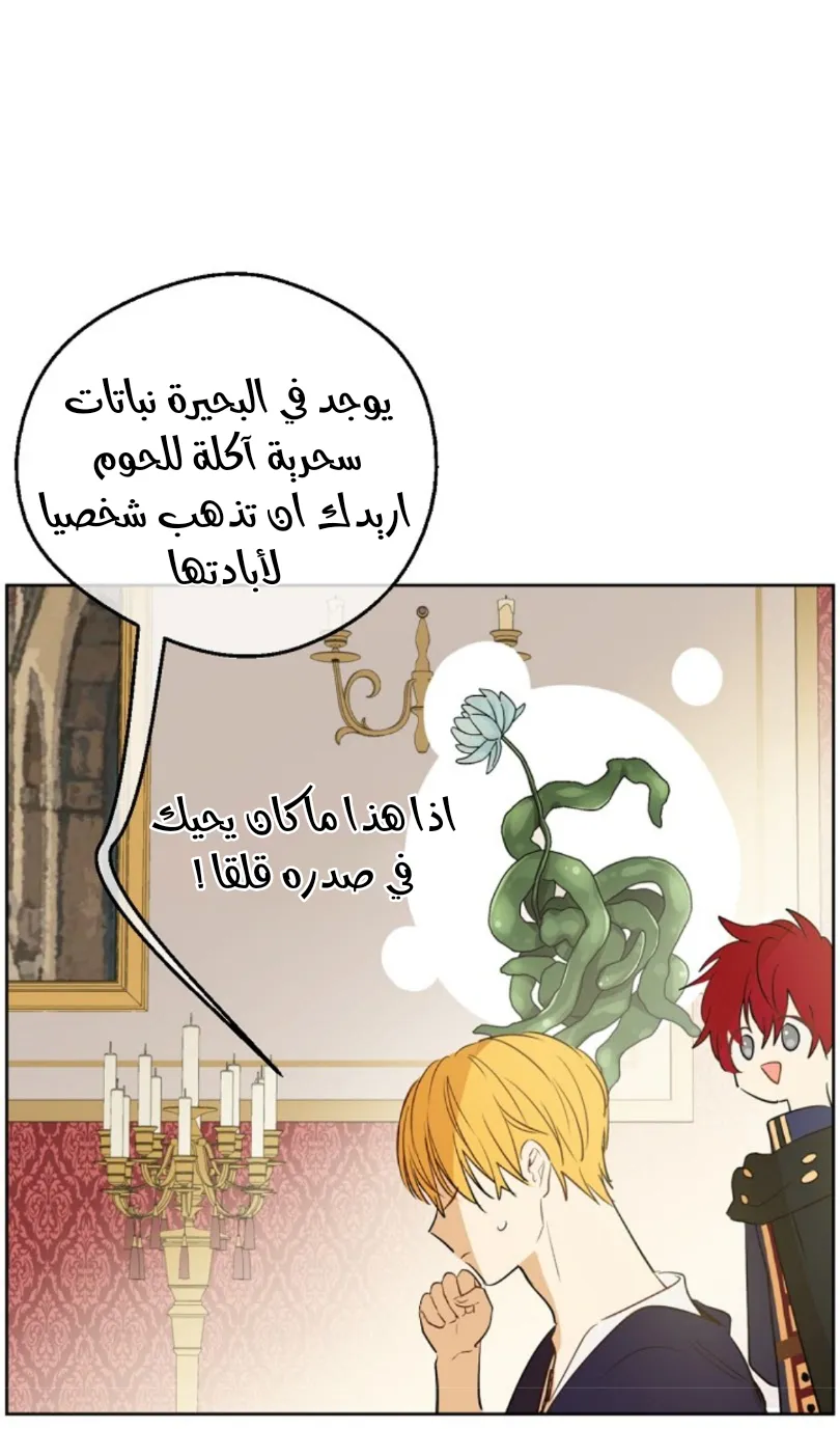 الصفحة 58 من 73