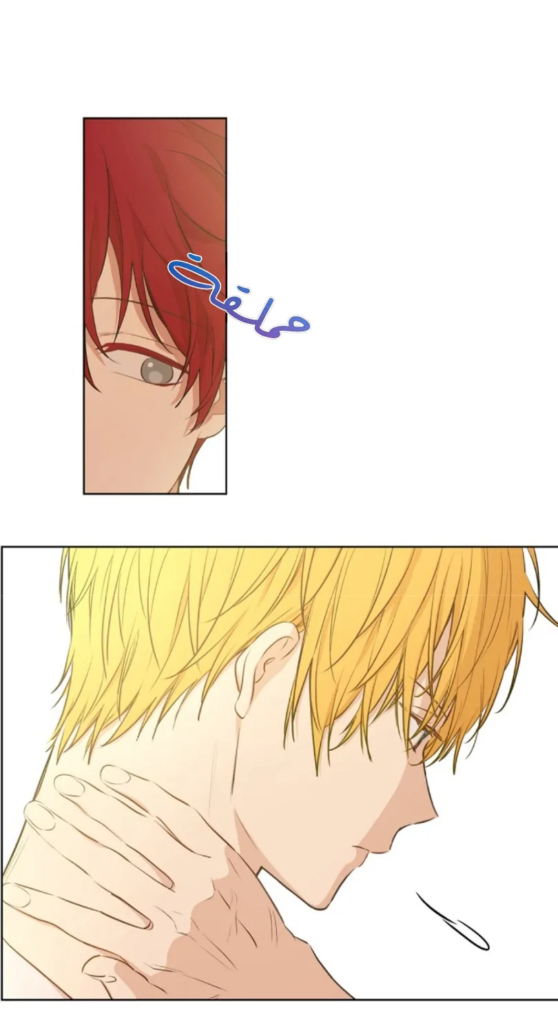 الصفحة 55 من 73