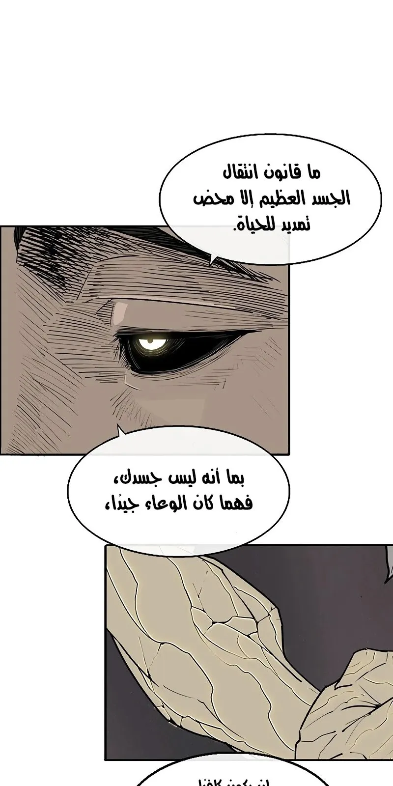 الصفحة 36 من 80