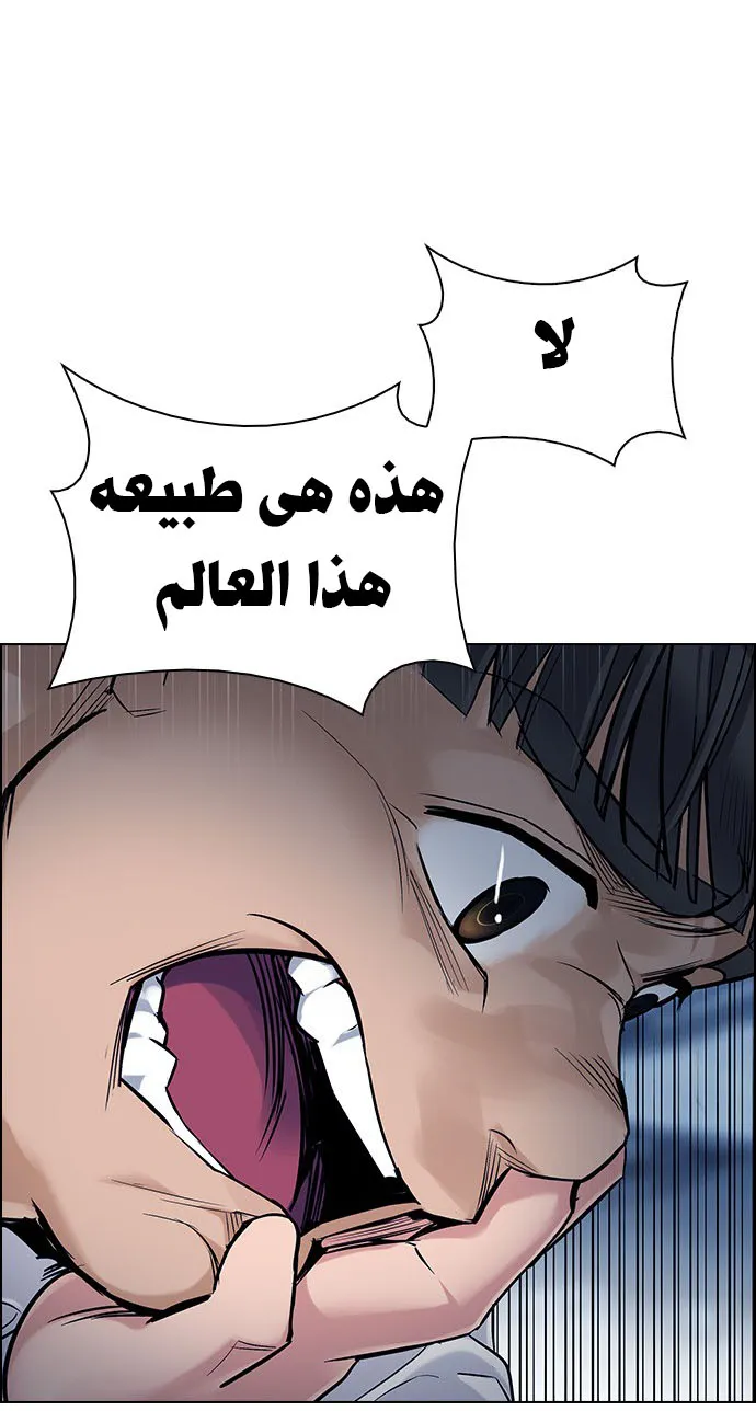 الصفحة 44 من 52