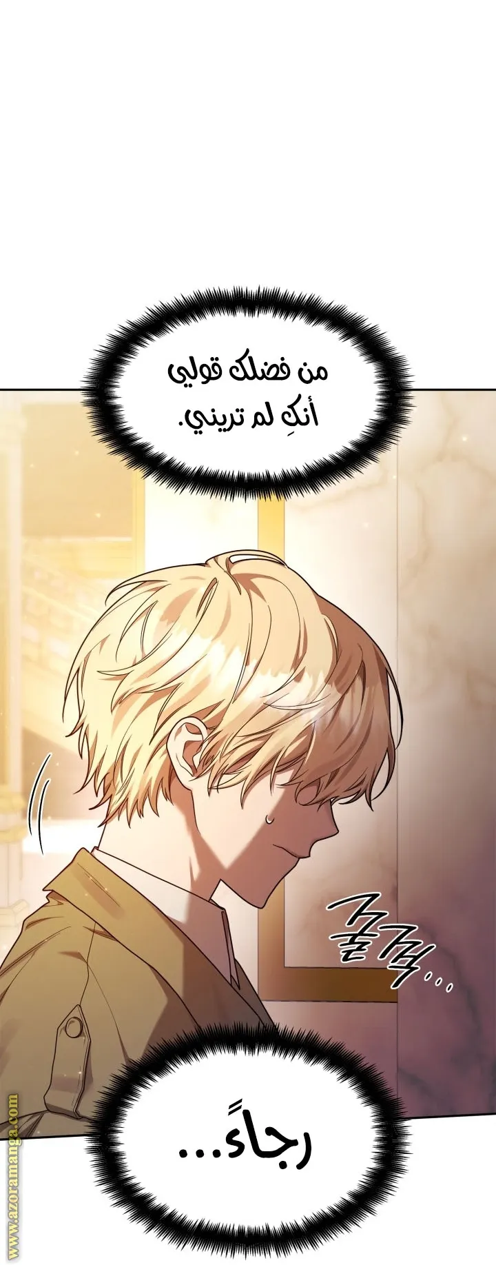 الصفحة 33 من 112