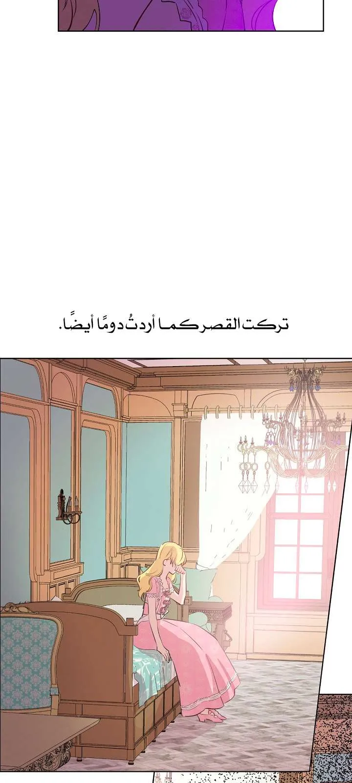 الصفحة 31 من 65