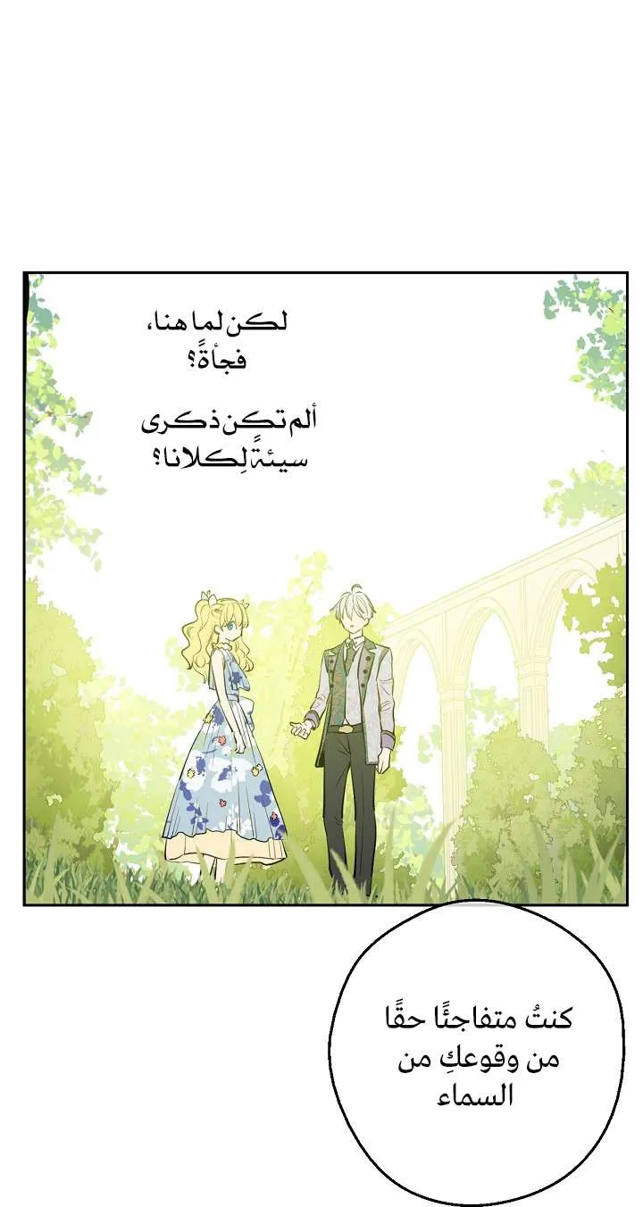 الصفحة 50 من 65