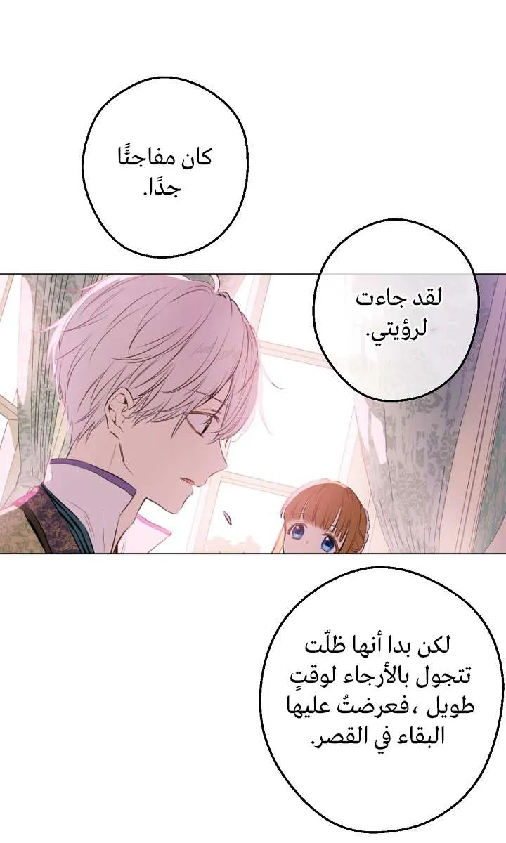 الصفحة 19 من 65
