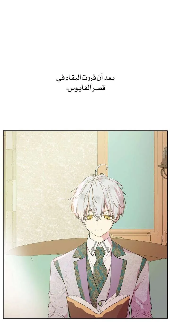 الصفحة 39 من 65