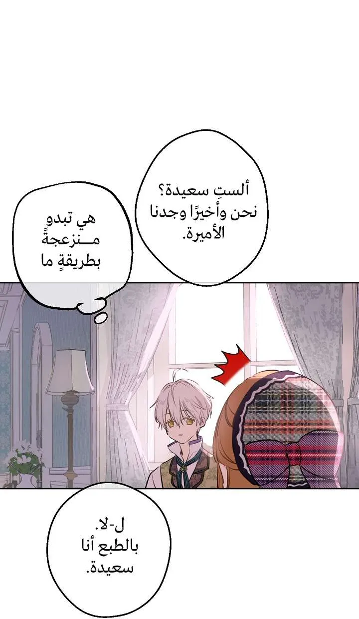 الصفحة 17 من 65