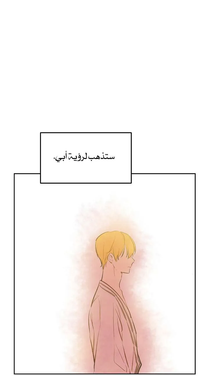 الصفحة 42 من 65