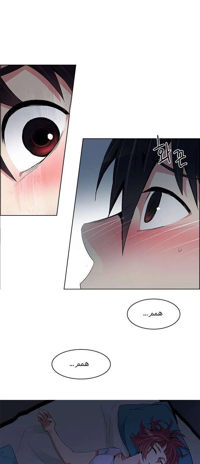 الصفحة 11 من 49