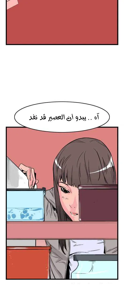 الصفحة 17 من 29
