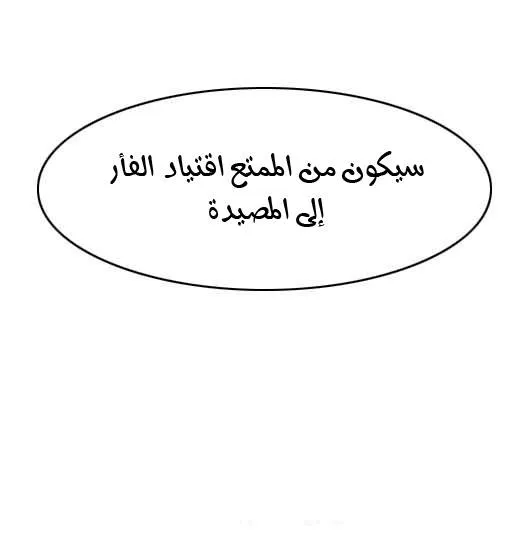 الصفحة 5 من 29