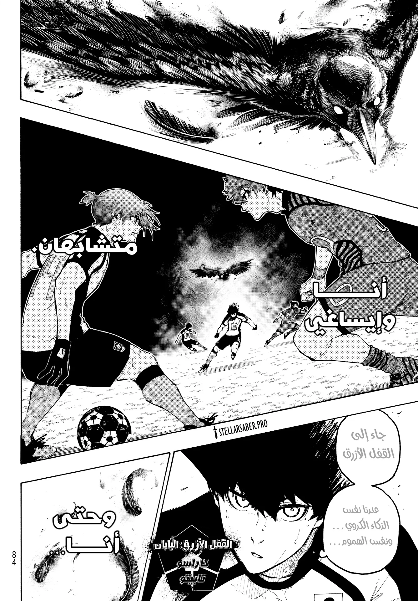 الصفحة 13 من 20