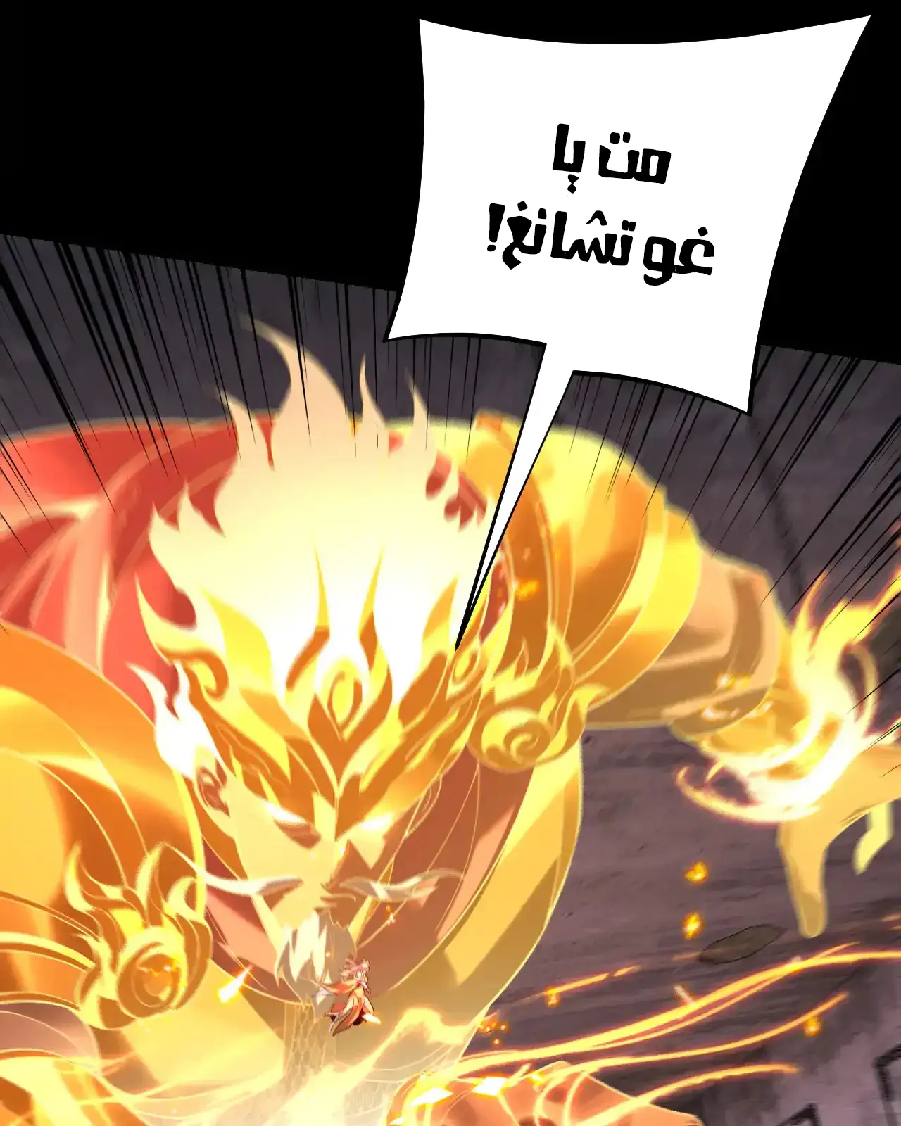 الصفحة 23 من 84