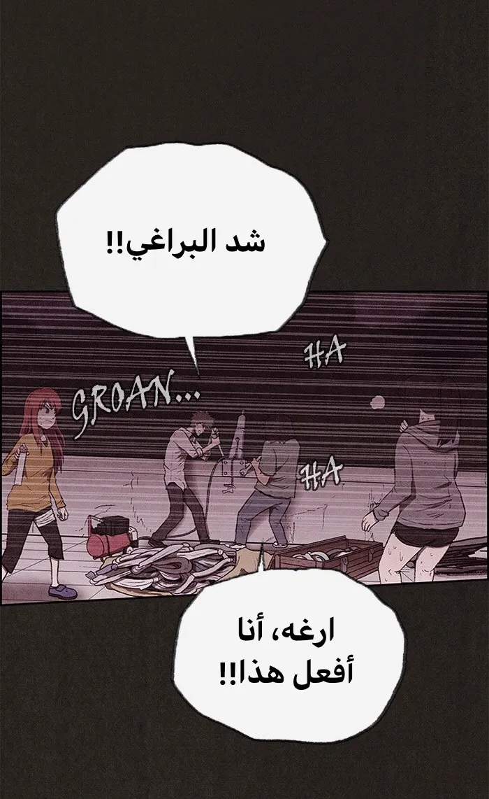 الصفحة 29 من 81
