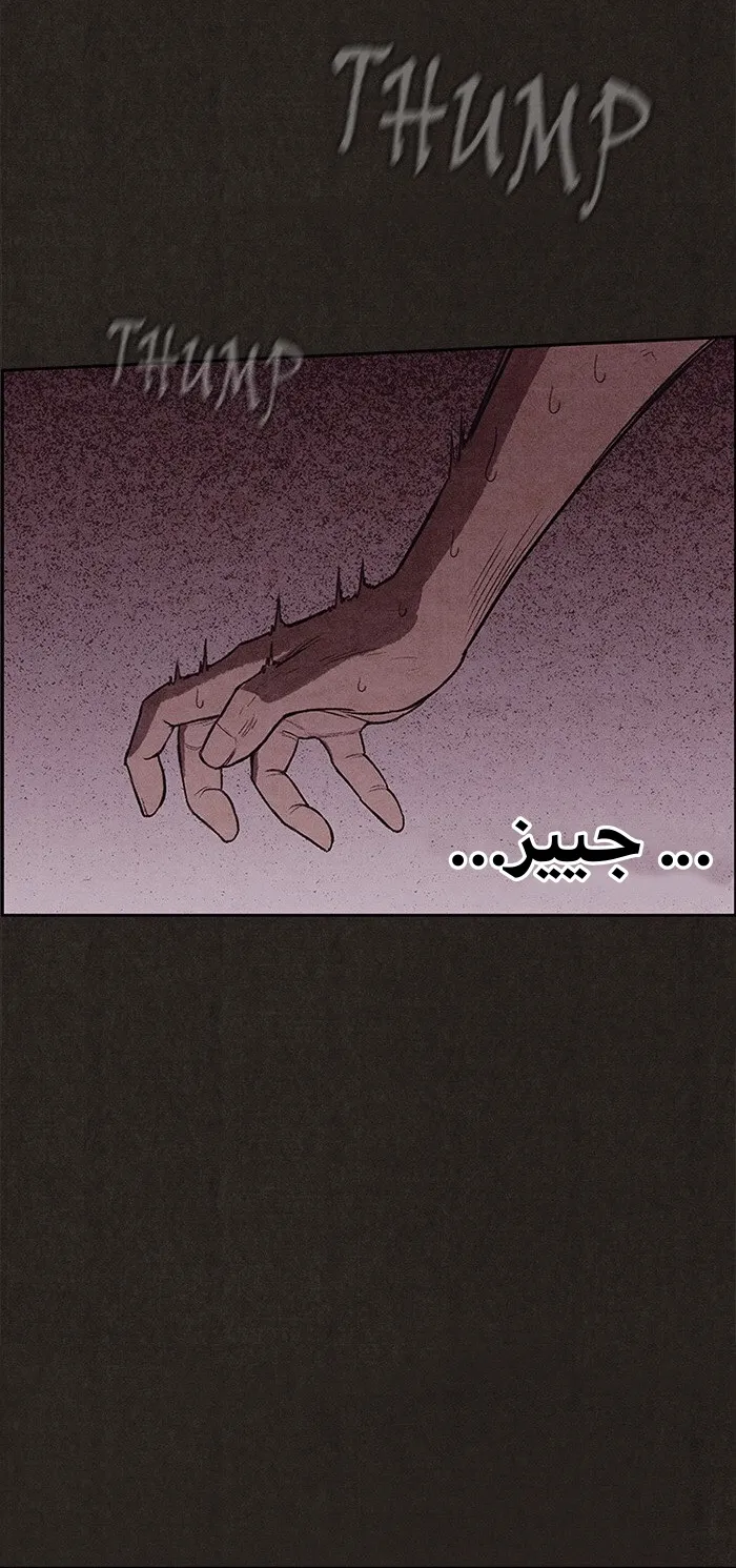 الصفحة 24 من 81