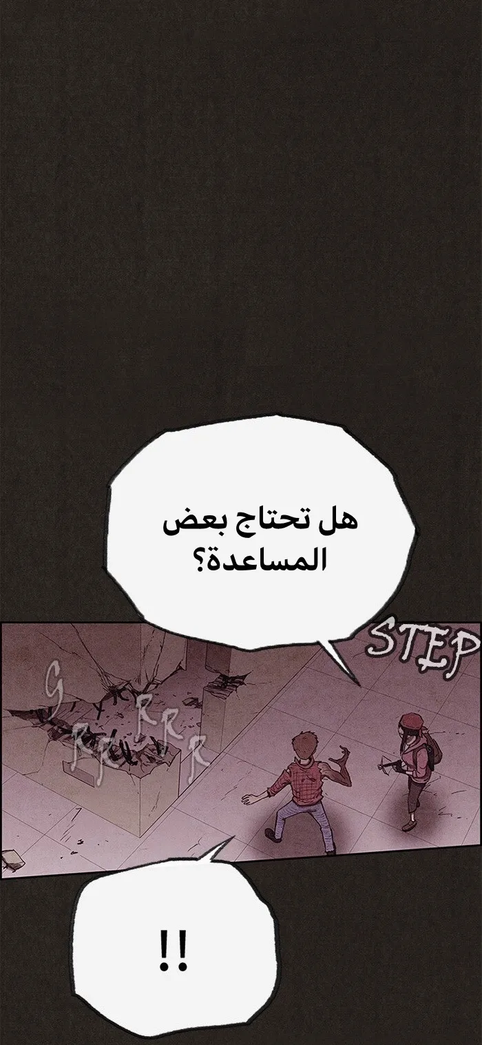 الصفحة 26 من 81