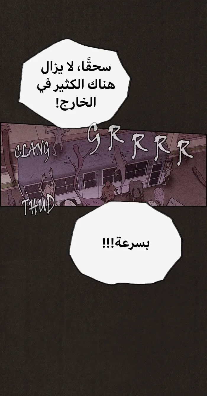 الصفحة 36 من 81