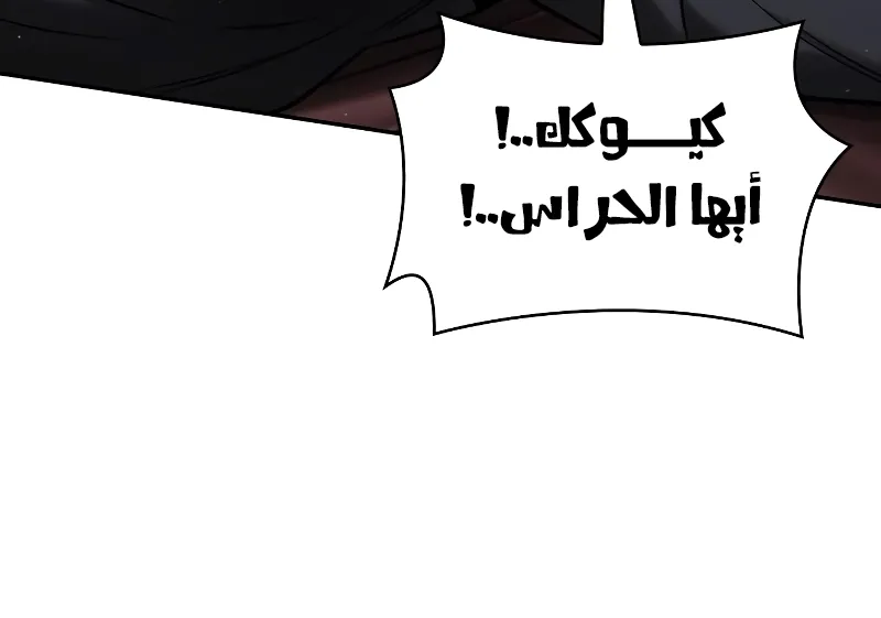 الصفحة 14 من 66