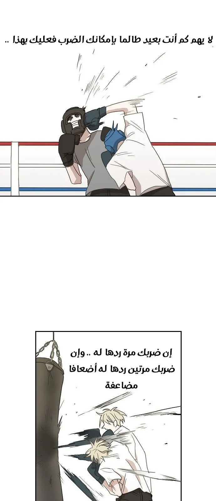 الصفحة 38 من 61