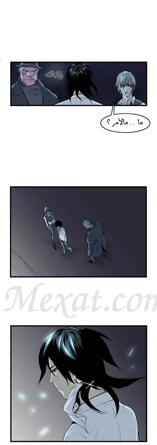 الصفحة 8 من 29