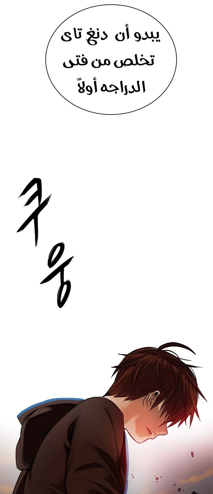 الصفحة 13 من 46