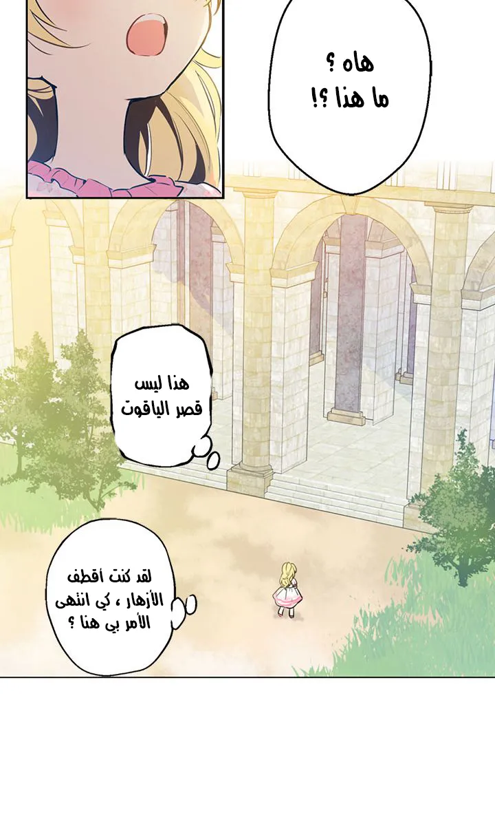الصفحة 5 من 47
