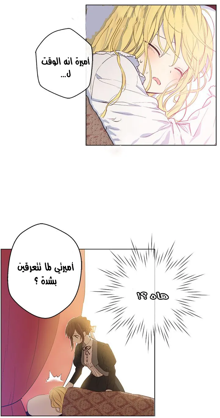 الصفحة 33 من 47