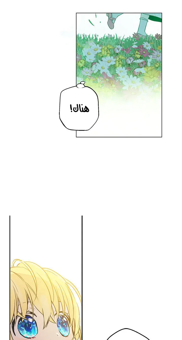 الصفحة 4 من 47
