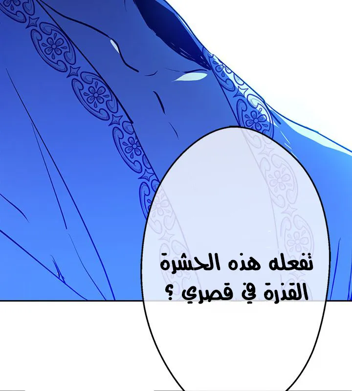 الصفحة 46 من 47