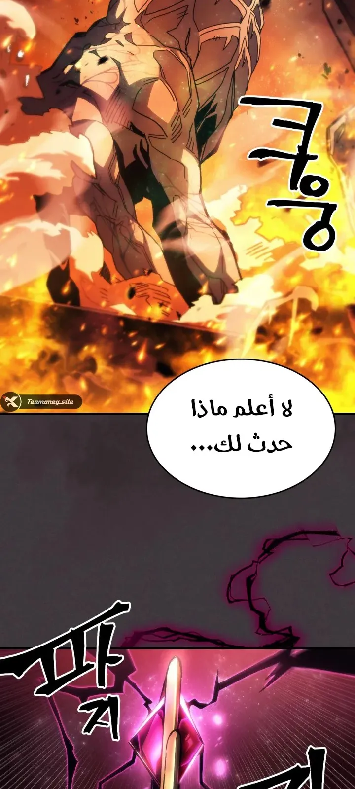 الصفحة 8 من 69
