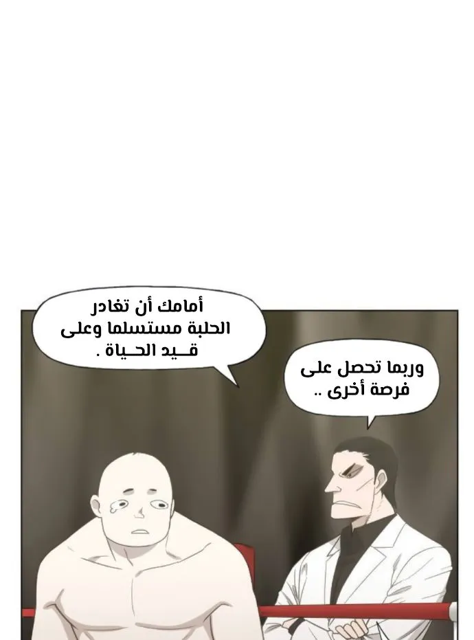 الصفحة 38 من 100