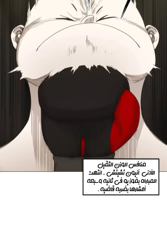الصفحة 46 من 100