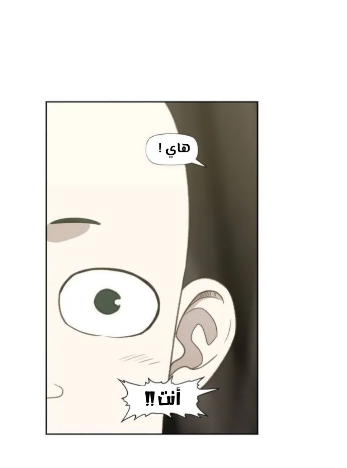 الصفحة 37 من 100