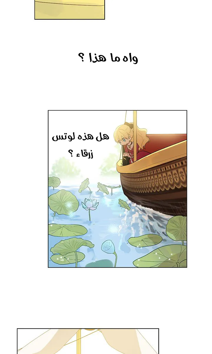 الصفحة 5 من 45
