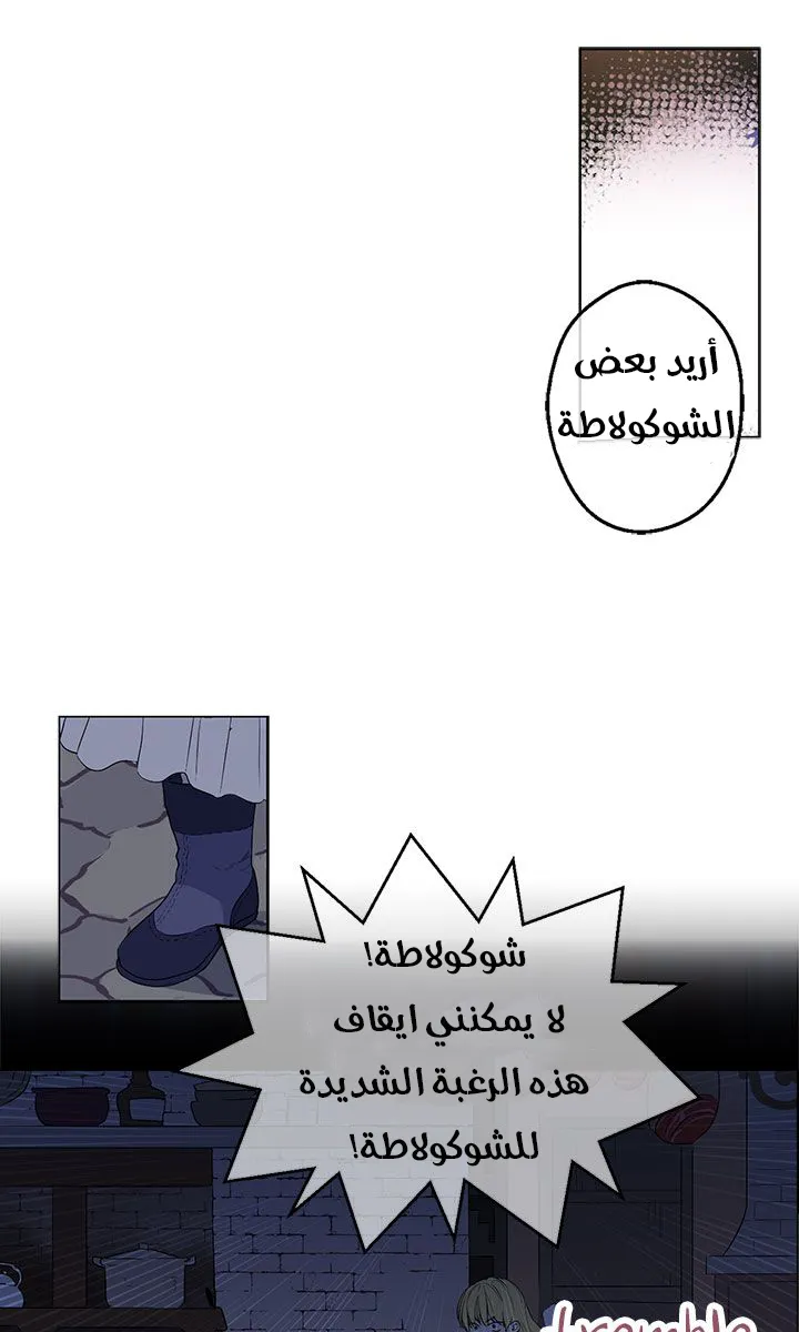 الصفحة 41 من 45